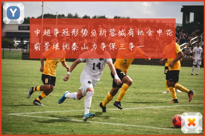 中超争冠形势分析蓉城有机会申花前景堪忧泰山力争保三争一